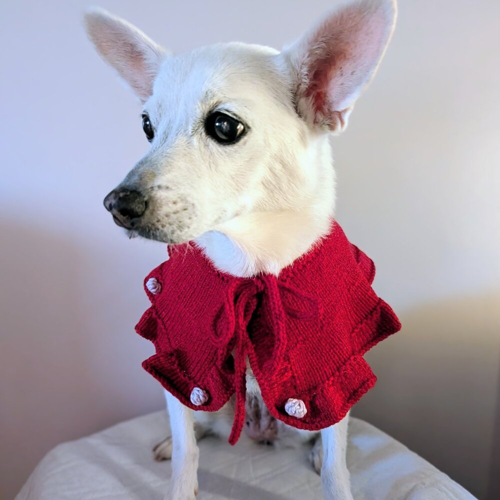 Dog pet handmade handknitted collar costume sweater M - Picture 7 of 11